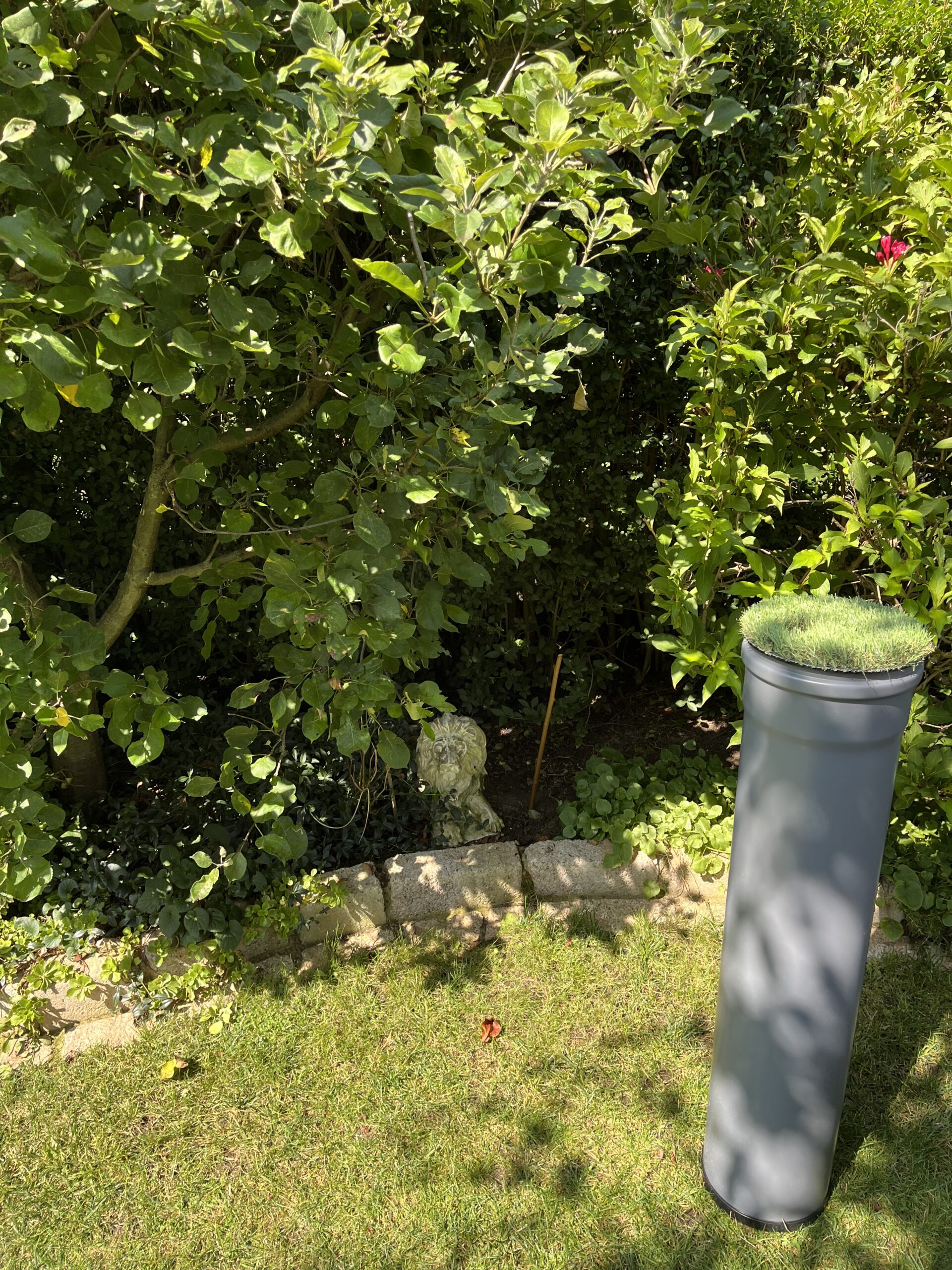 Gartenprojekt Hopfenhöhle