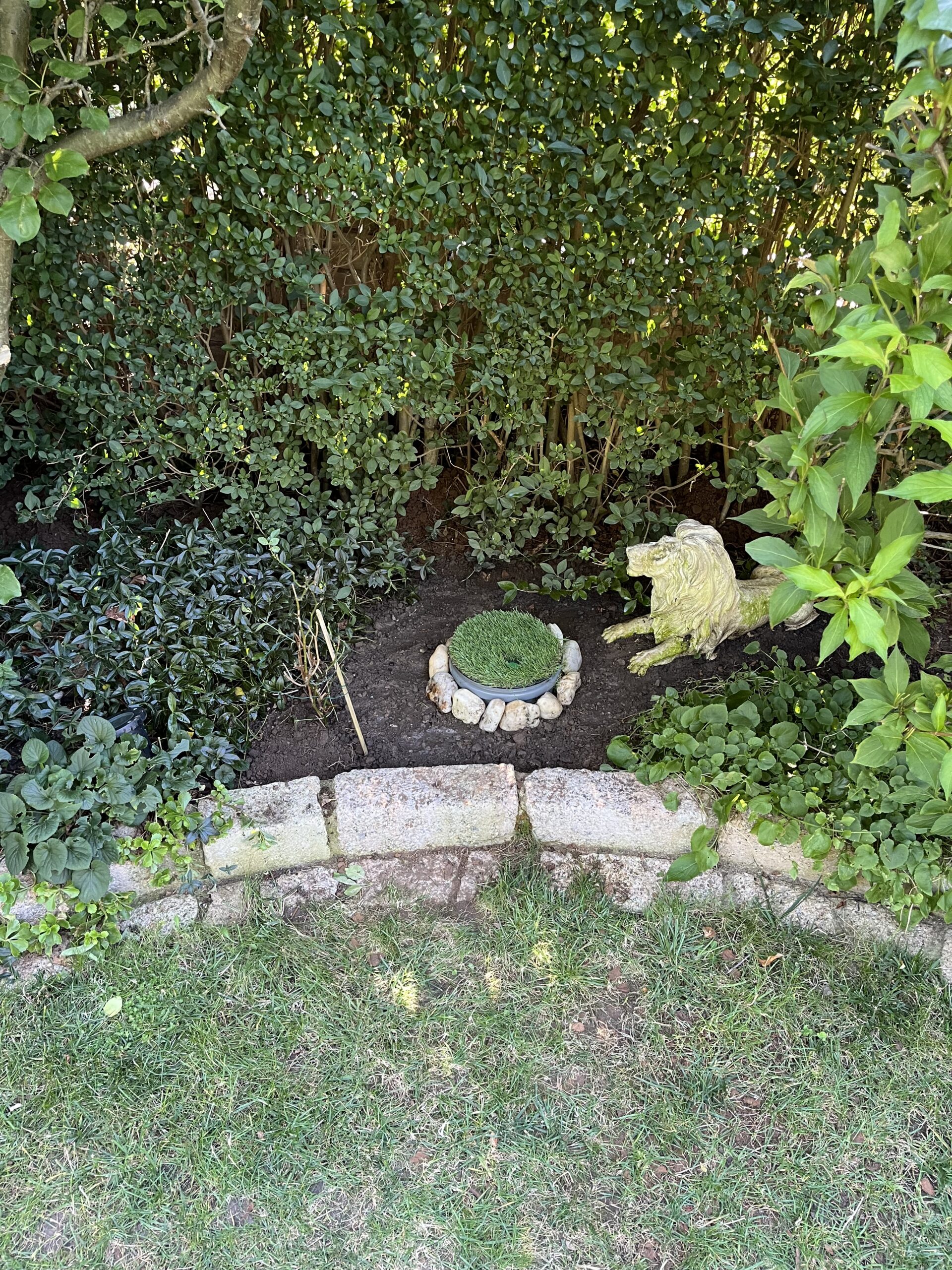 Hopfenhöhle eingesetzt und ausgerichtet